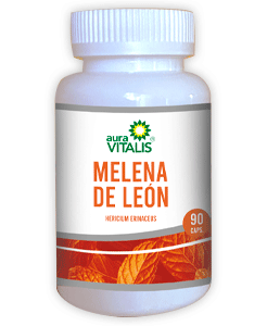 Melena de León x 90 Cápsulas