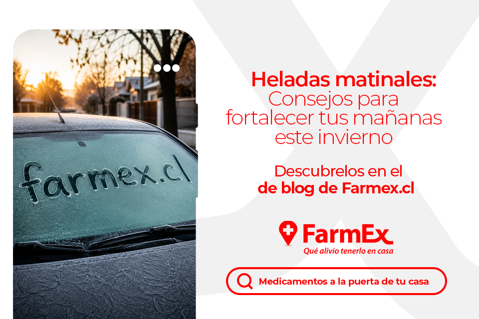 Heladas matinales: Consejos para fortalecer tus mañanas este invierno