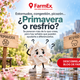 ¿Primavera o resfrío? Se parecen más de lo que crees, pero hay señales que pueden ayudarte a diferenciarlos