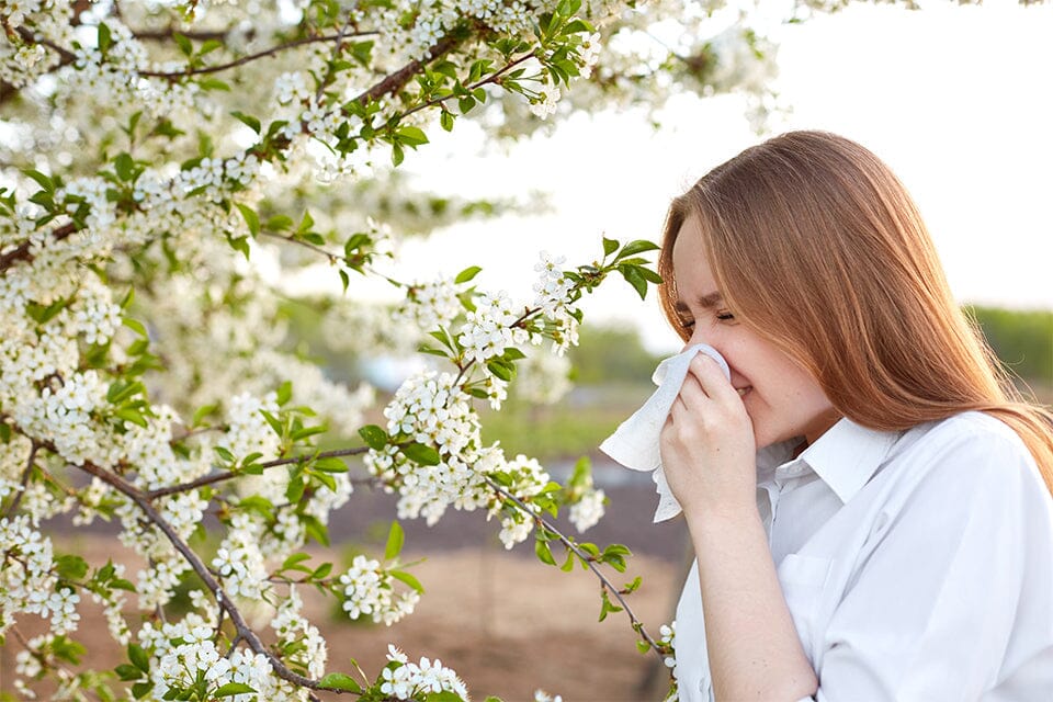 ¿Alergia o resfriado? Aprende a diferenciarlos y elige el tratamiento adecuado.