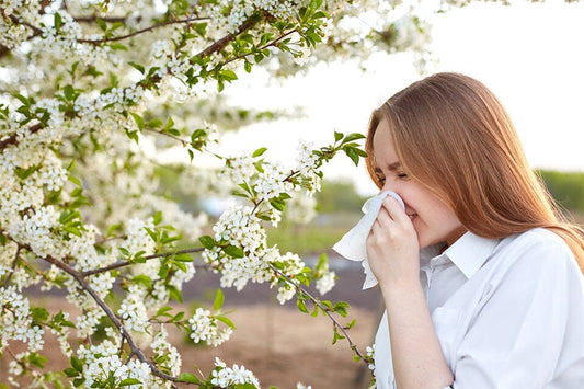 ¿Alergia o resfriado? Aprende a diferenciarlos y elige el tratamiento adecuado.