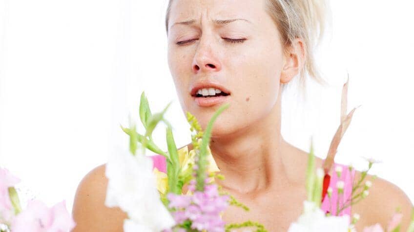 Alergias en Verano: Causas, Síntomas y Prevención