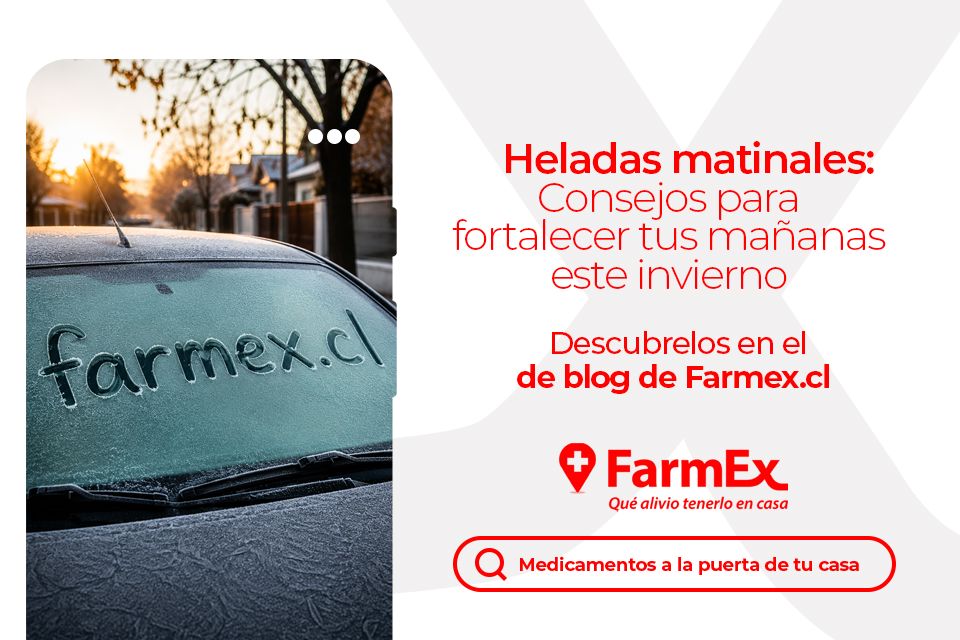 Heladas matinales: Consejos para fortalecer tus mañanas este invierno
