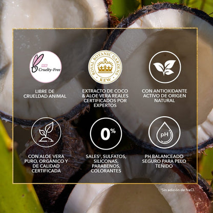 Aqua Oil Aloe Antioxidante Extracto de Coco x 100 mL P&G 