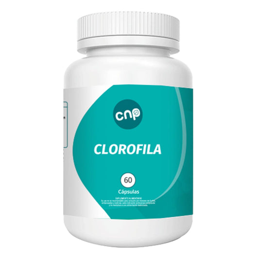 Clorofila 500 mg x 60 cápsulas SCL 