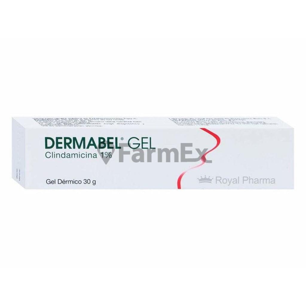 Dermabel Gel 1 % x 30 g Farmex-Fonasa-Persistente 