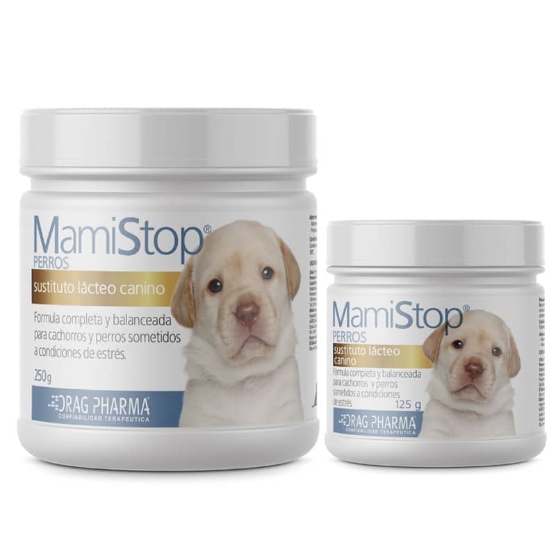 Mamistop® Perros Sustituto Lácteo polvo x 250 g Farmex-Pluxee-Persistente 