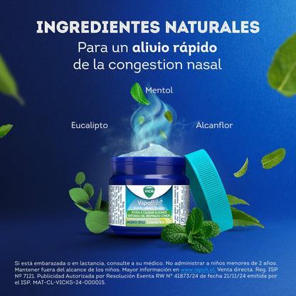 Vick Vaporub Ungüento Tópico con Mentol, Eucalipto, Alcanfor x 50 g Farmex-Fonasa-Persistente 