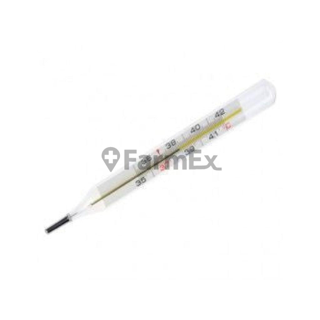 Termometro Plano de Mercurio x 1 unidad Family Set 